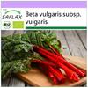 Organic - Мангольд - Ревень - 50 семян - Beta vulgaris