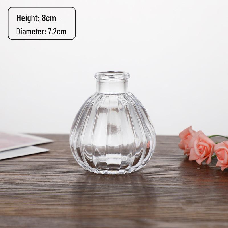 Small French Retro Glass Hydroponic Vase for Home Decor
