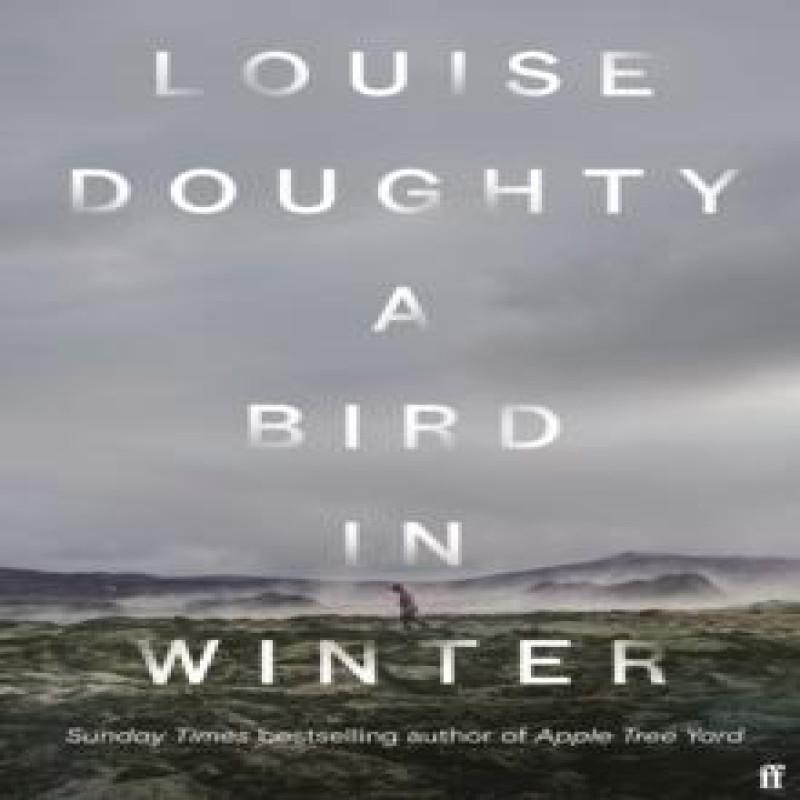 A Bird in Winter by Louise Doughty Hardback Book 9780571322176