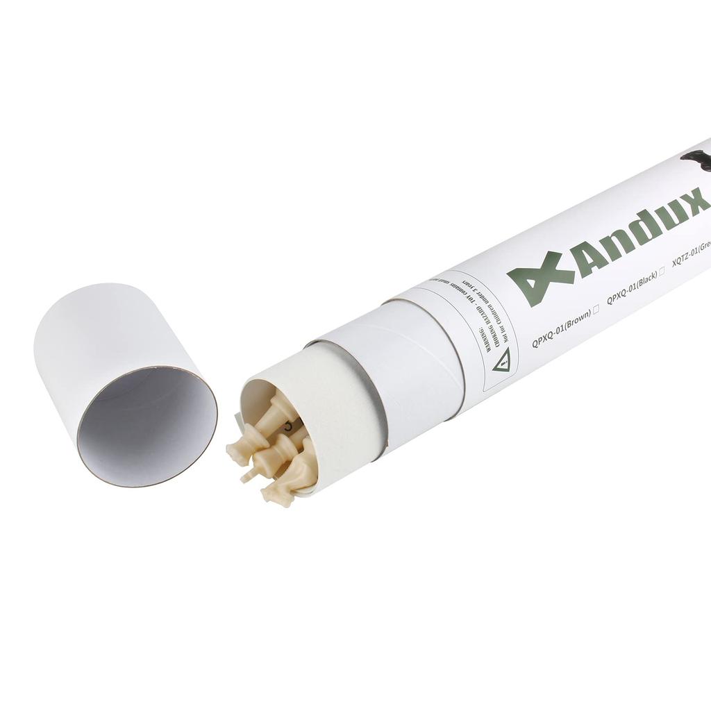 Andux International Chess Board for Portable Set Beginners, Travel, XQTZ-01 (35x35cm, Green)