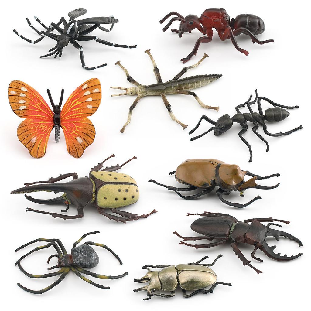 Insect Animal Model Pvc Collection For Educational Display And Collection Enthusiasts