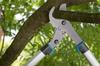 GARDENA EnergyCut 600B Branch Pruning 42mm Cutting Bypass for Branch Yard Made in Up to Product Up to 25 Years 12006-20 Shears, Diameter, Type,