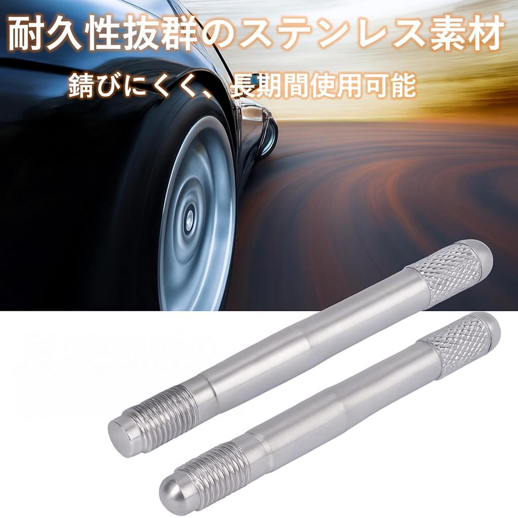 Lebonarier Wheel Setting Bolt Stainless Steel Tire Replacement Aid Universal 2 Pieces (Silver M12 P1.5)