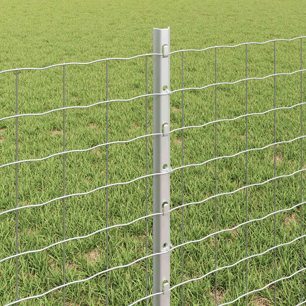 Welded Wire Fence 10 x 0.6 m (W x H) Hot Dip Galvanized Steel