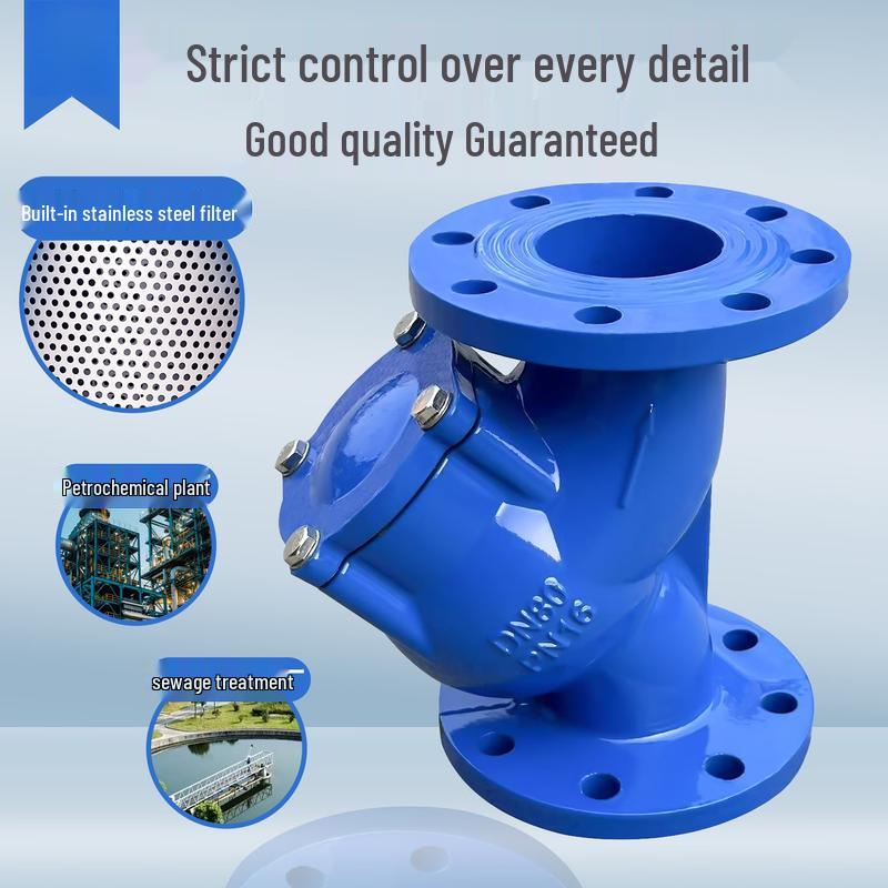 Cast Iron Y-Type Flange Filter Valve