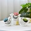 Набор из 3 предметов, суккулентный горшок с белыми птицами, настольный декор, домашний офис, креативный подарок, керамические цветочные горшки для животных