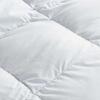 Fang'en FN-B479 White Goose Down Comforter
