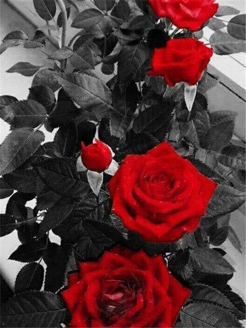 5D алмазная живопись роза Алмазная вышивка черно-белая мозаика картина из горного хрусталя украшение дома подарок