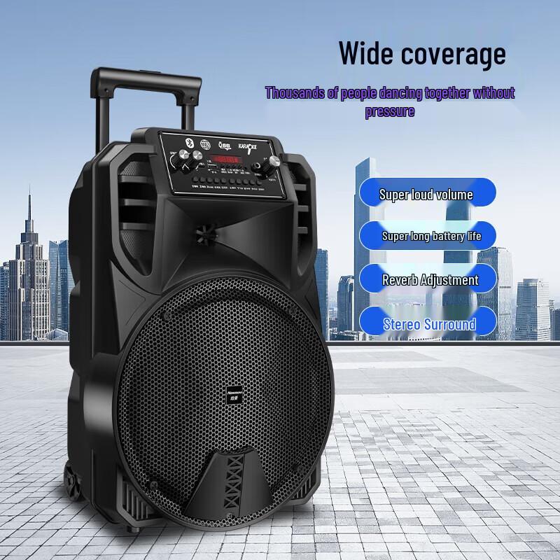 Newmine N509 Portable Outdoor Karaoke Speaker