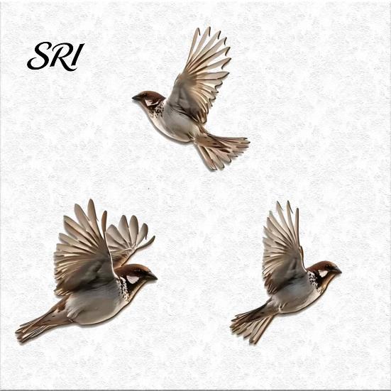 Home Decor Bird Sculpture 3 Pcs Rustic Wall Art Farmhouse Wooden Flying Birds 3D Hanging for Living Room Bedroom Kitchen Office Artistic
