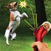 Treat Launcher Snack Food Feeder Catapult Pet Training
