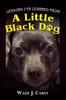 Книга Lessons I've Learned From A Little Black Dog
