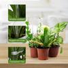 2pcs Garden U-shaped Acrylic Plant Climbing Frame Transparent And Durable Suitable For Indoor Vine And Flower Pot Support