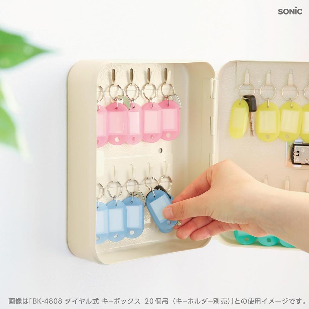 Sonic Double-Sided Key Holder Name Tags Small 20-Pack Multi-Color Key Ring Label Tags for Office Luggage Keys Organization BK-4817