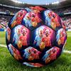1pc Arsenals Odegaard Celebration Quality Football,Standard Size 5 Suitable for Adults,Students,And Teenagers for Training And CompetitionYUG22