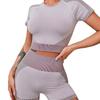 2025 Быстросохнущий Бесшовный Комплект из Двух Предметов для Йоги и Бега: Шорты с высокой талией и топ с коротким рукавом для женщин