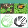 Floating Plant Corral Aquarium 5pcs Floating Plant Holders Fish Feeding Rings For Fishtanks 80200mm Fishtank Supplies