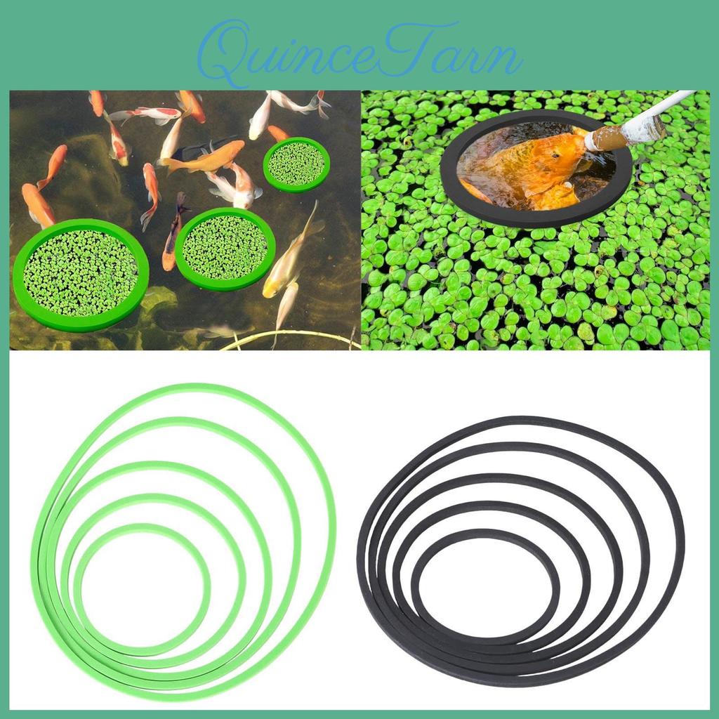Floating Plant Corral Aquarium 5pcs Floating Plant Holders Fish Feeding Rings For Fishtanks 80200mm Fishtank Supplies