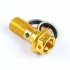 Motorcycle Brake tubing brake caliper Universal M10X1.25/1.0mm Banjo screws Colorful Motorcycle Oil Nozzle screws Oil screws