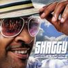 CD SHAGGY - Summer In Kingston RECD001 Ranch Entertinm 2011 US Reggae, Ska & Dub