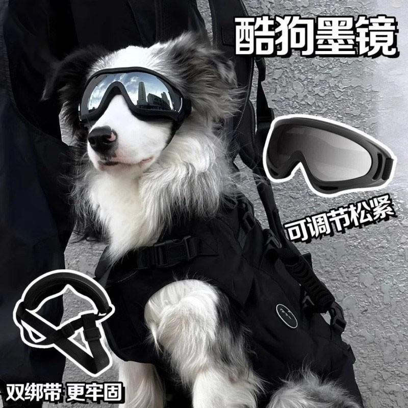 Pet goggles, dog sunglasses, small, medium, and large sizes, for cycling, windproof, and outdoor use, pet sunglasses, Border Collie goggles