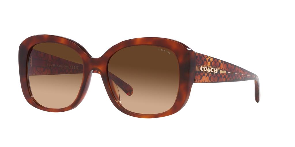 Sunglasses HC8363U CH564 CARAMEL TORTOISE GRADIENT Lens 56 [Coach] Frame/BROWN