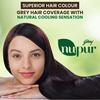 Nupur: Medical Henna for Hair 9 Herbs (150 G), Nupur Henna Goodness of 9 Herbs, Godrej