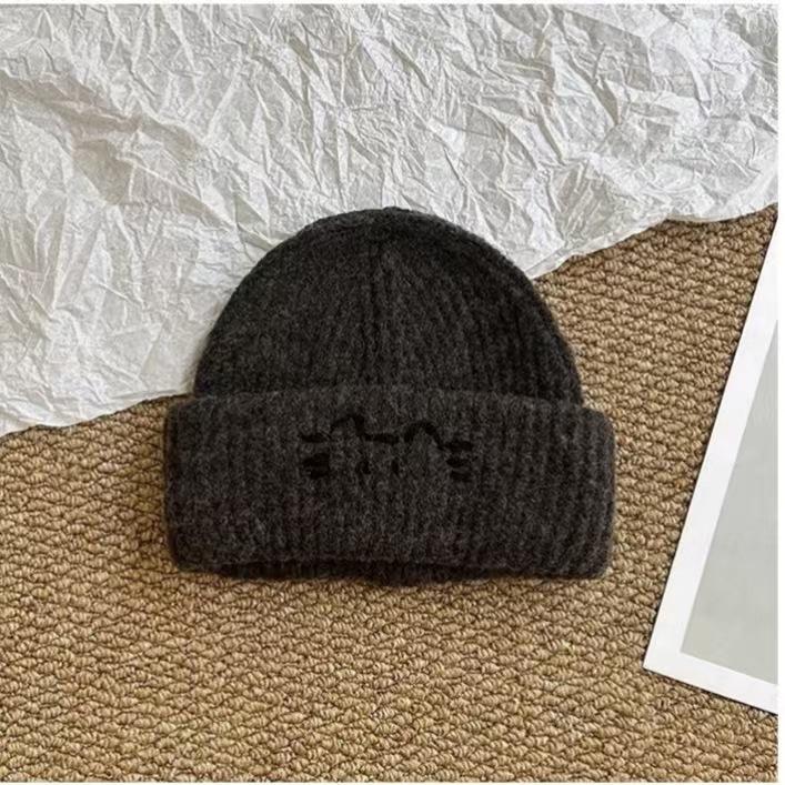 Sweet and cute cat ears plush knitted hat women's autumn and winter warm versatile wool hat show face small ear hat