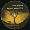 12-дюймовая пластинка SIMON NEDECZKY - Tribal Sunshine NONE AA 2005 UK Танцевальная и электронная музыка Б/у