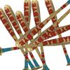 ПВХ Надувная Подбадривающая Бейсбольная Бита Игрушка Шарики Женщины Мужчины Карнавальная Вечеринка Декор Интерактивная Игра-Противостояние Родитель-Ребенок
