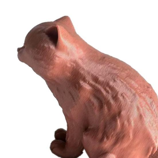 Cute Cat Toothpaste Holder 3D Printed Cap, Funny Vomiting Topper, Novelty Gift for Owners Creative Dispenser Kids Adults Bathroom Accessory