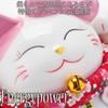 EnergyPower Maneki Neko Премиум Белый Фарфор Sho Chiku Plum Большой Размер С Подушкой Копилка Фарфор Luck Luck Manekineko Ручная Роспись Ручной Работы