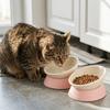 Anti-Tip Tilted Pet Bowl Adjustable Angle Neck Care Bowl Food & Water Bowl  Neck Protection