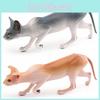 ПВХ Фигурка Животного Модель Кошки для Обучения Детей и Домашнего Декора