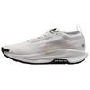 Кроссовки унисекс Pegasus Trail 5 GORE-TEX Vast Grey Sanddrift Summit-White Black FQ0908-010
