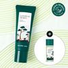 ROUND LAB Pine Calming Cica Cream Plus 60ml (+Toner 20ml)