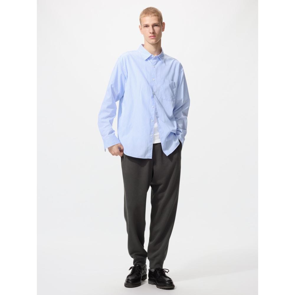 Uniqlo Broadcloth Shirt  Long Sleeve Regular Color  Stripe B