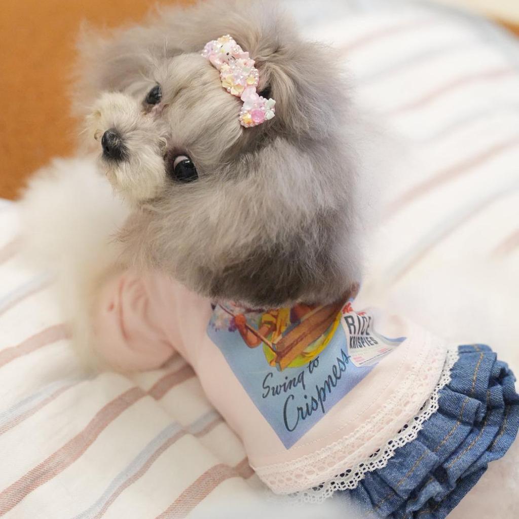 Домашний кот собака игривый принт классическая футболка в японском корейском стиле для маленьких щенков