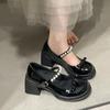 Black French Retro Small Thick Heel High Heels Women's Summer 2025 New with Skirt Light Mouth Mary Jane Single Shoes