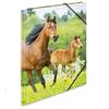 Herma Elasticated PP Folder A3 Animals (Horses)