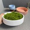 Сделай сам Большая чаша для хранения Гипсовая форма Терраццо круглая Полосатая Бетонный подсвечник Уличный цементный горшок для растений Литьевая форма