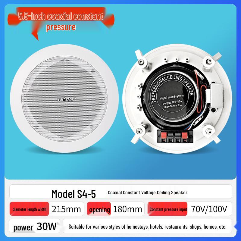 SAST S4-5 5.5-inch Coaxial Ceiling Speaker (CN version)