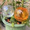 500ml Plant Watering Bulbs Globular Drip Irrigation System Automatic Watering Ball  Flower Plants