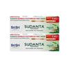 SUDANTA Shuddhta Ka Naam Ayurvedic Herbal Toothpaste With Bamboo Toothbrush Free Inside - All Natural, Bakul & More - 200G (Pack Of 2)