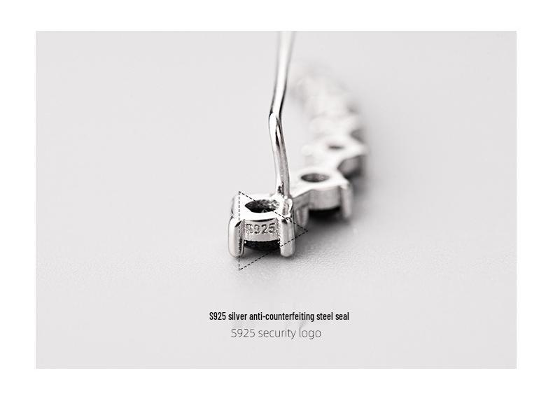 Серьги из серебра 925 пробы с цирконами Banyan Tree - Элегантные и стильные серьги-крючки для женщин