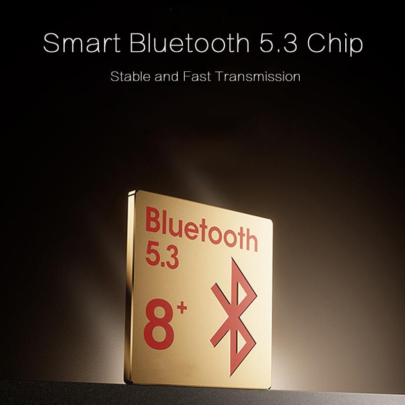 VAORLO Lover Wireless Earphones 2 Pairs Of Headset Ear-Clip Painless Wear In-Ear Earbuds Noise Cancel Waterproof Headphone HiFi Stereo