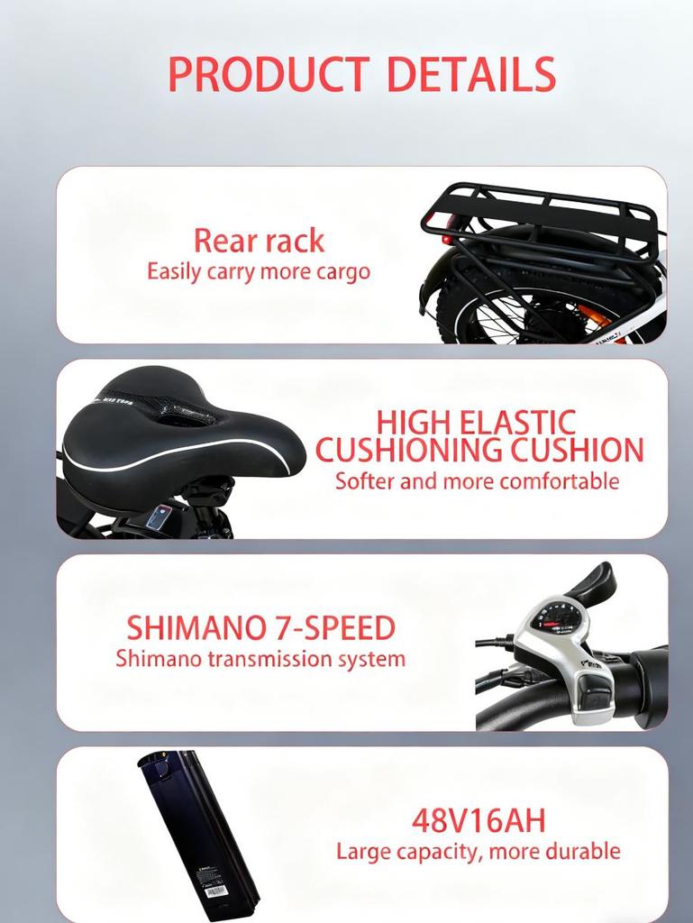 DZ2030 E-Bike 800W Motor 48V16AH Removable Battery Food Delivery Electric Bicycle 20*4.0 Fat Tire Adult Delivery Electric Bike