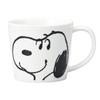 Kanesho Pottery [PEANUTS] Snoopy Smile Face Mug, Size M, Approx. 280ml, Made In Japan, 623101