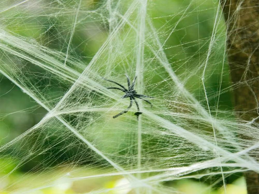 Spiderweb 40G 4 Spiders (300) Gab_A