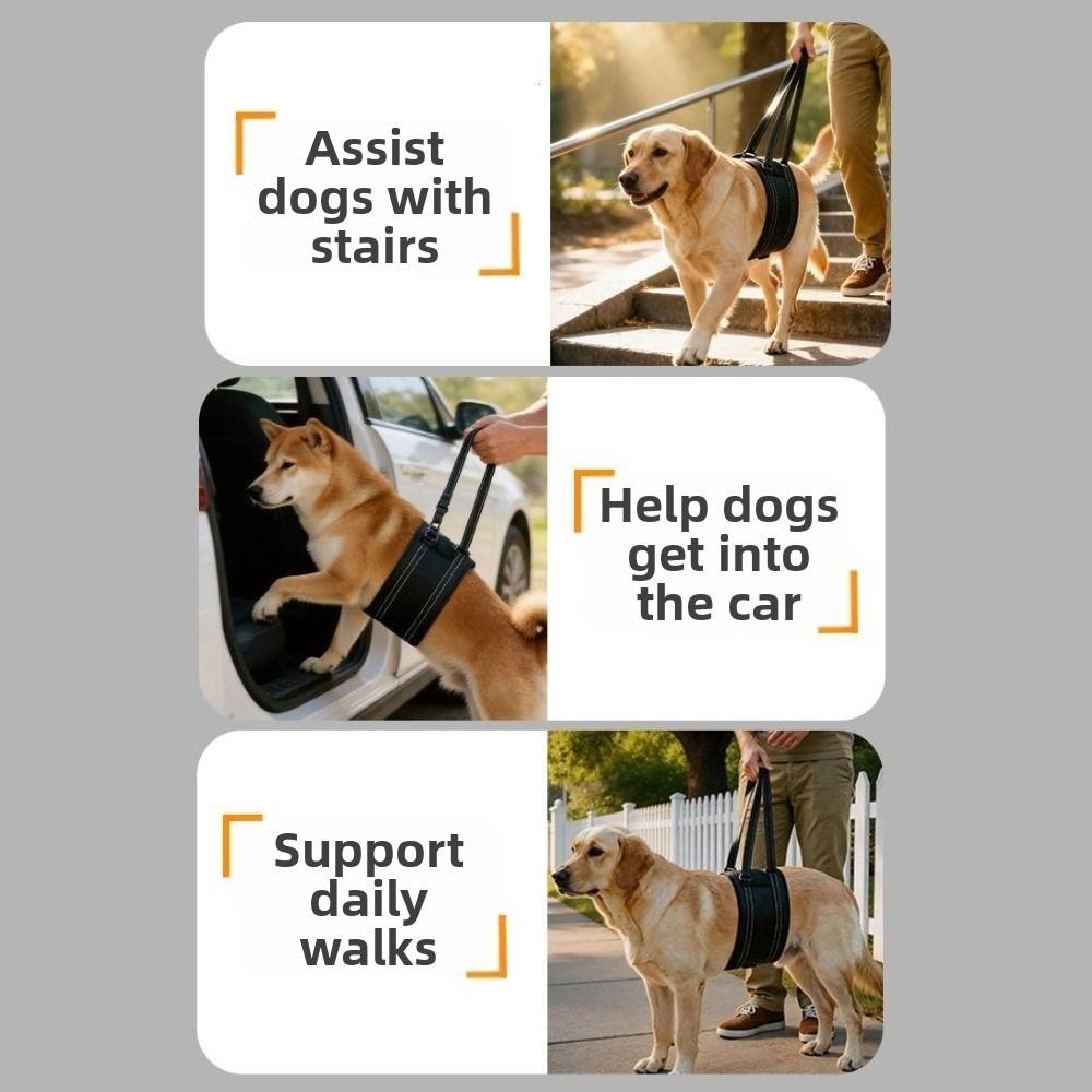 Convenient Handle Dog Support Recovery Sling Breathable Pet Rehabilitation Harness Injury Recovery